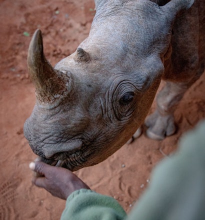 1 Day Oljogi  Conservacy Tour